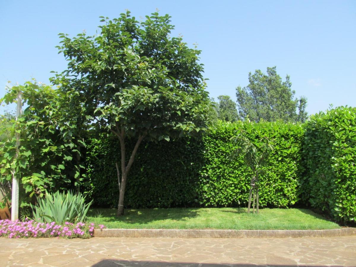 Apartments Zvezdica*** With Garden ซัมบราทิยา ภายนอก รูปภาพ